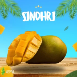Sindhri